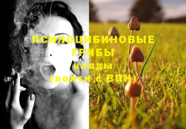 метадон Заводоуковск
