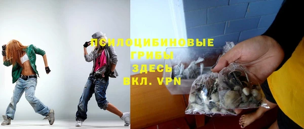сатива Заволжье