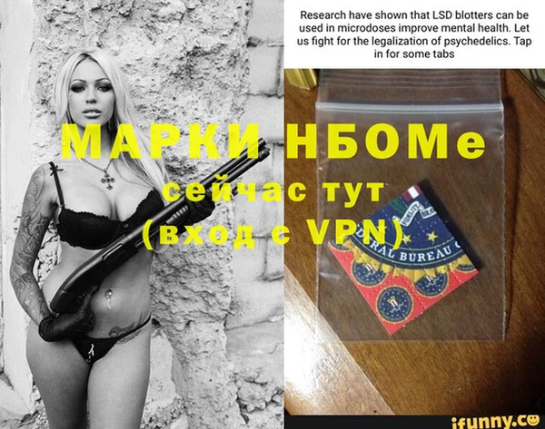 сатива Заволжье