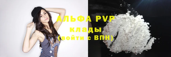 сатива Заволжье