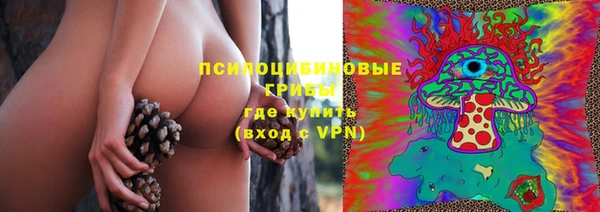 метадон Заводоуковск