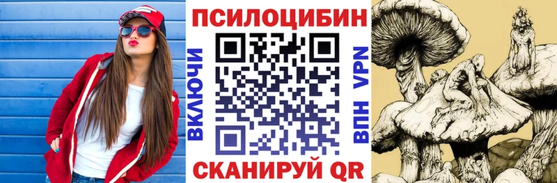 Купить  Шагонар  Псилоцибиновые грибы GOLDEN TEACHER 